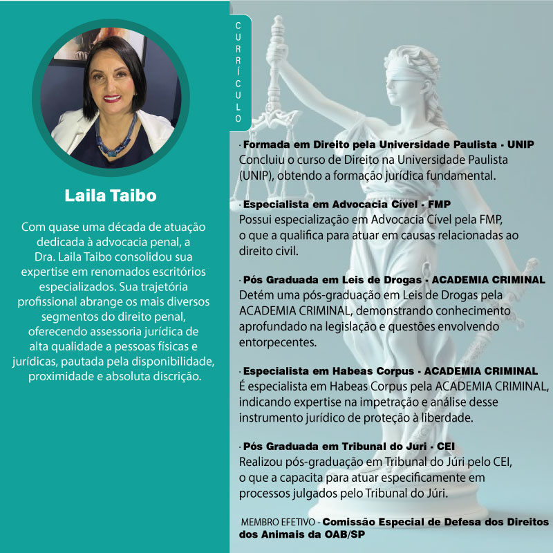 Currículo Laila Taibo